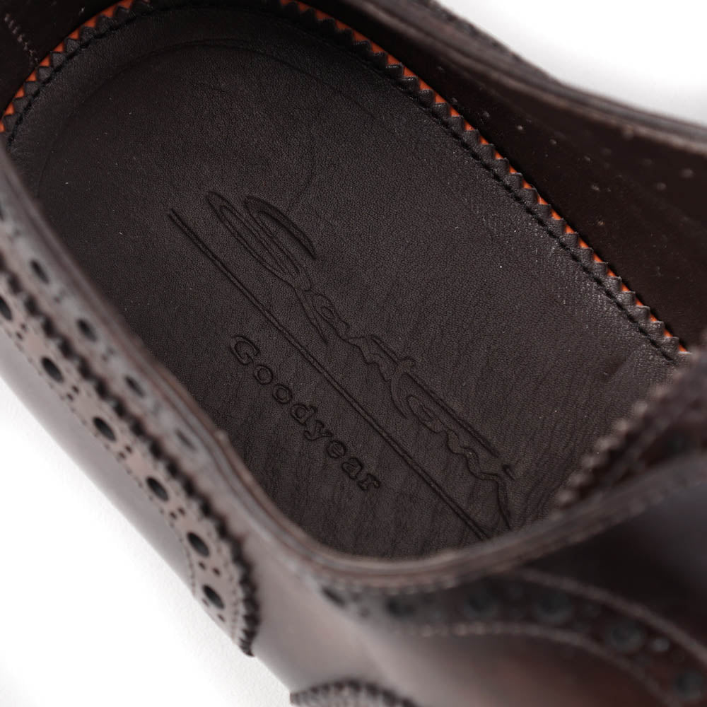 Santoni Wingtip Brogue in Antiqued Brown - Top Shelf Apparel