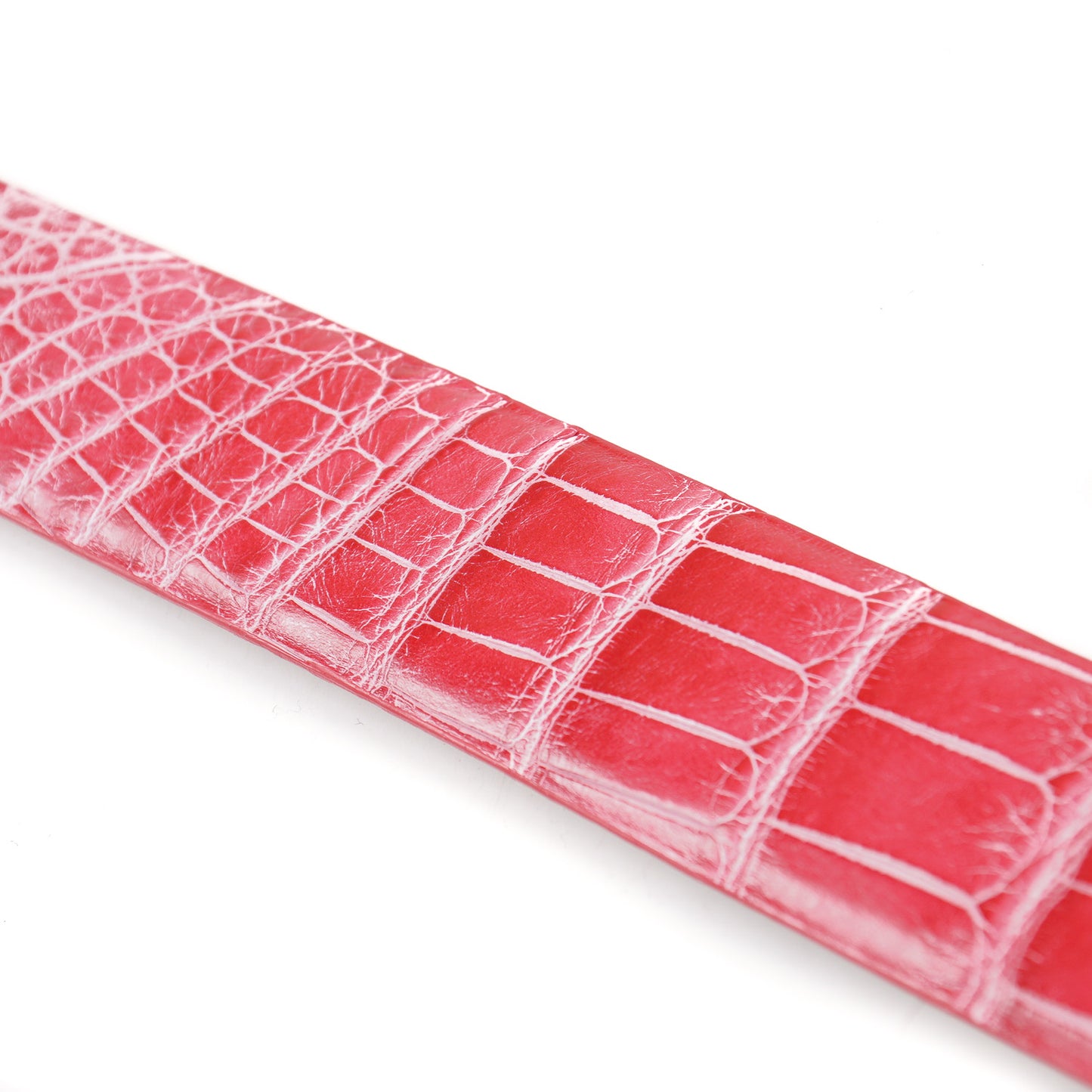 Zilli Belt in Pink Crocodile - Top Shelf Apparel
