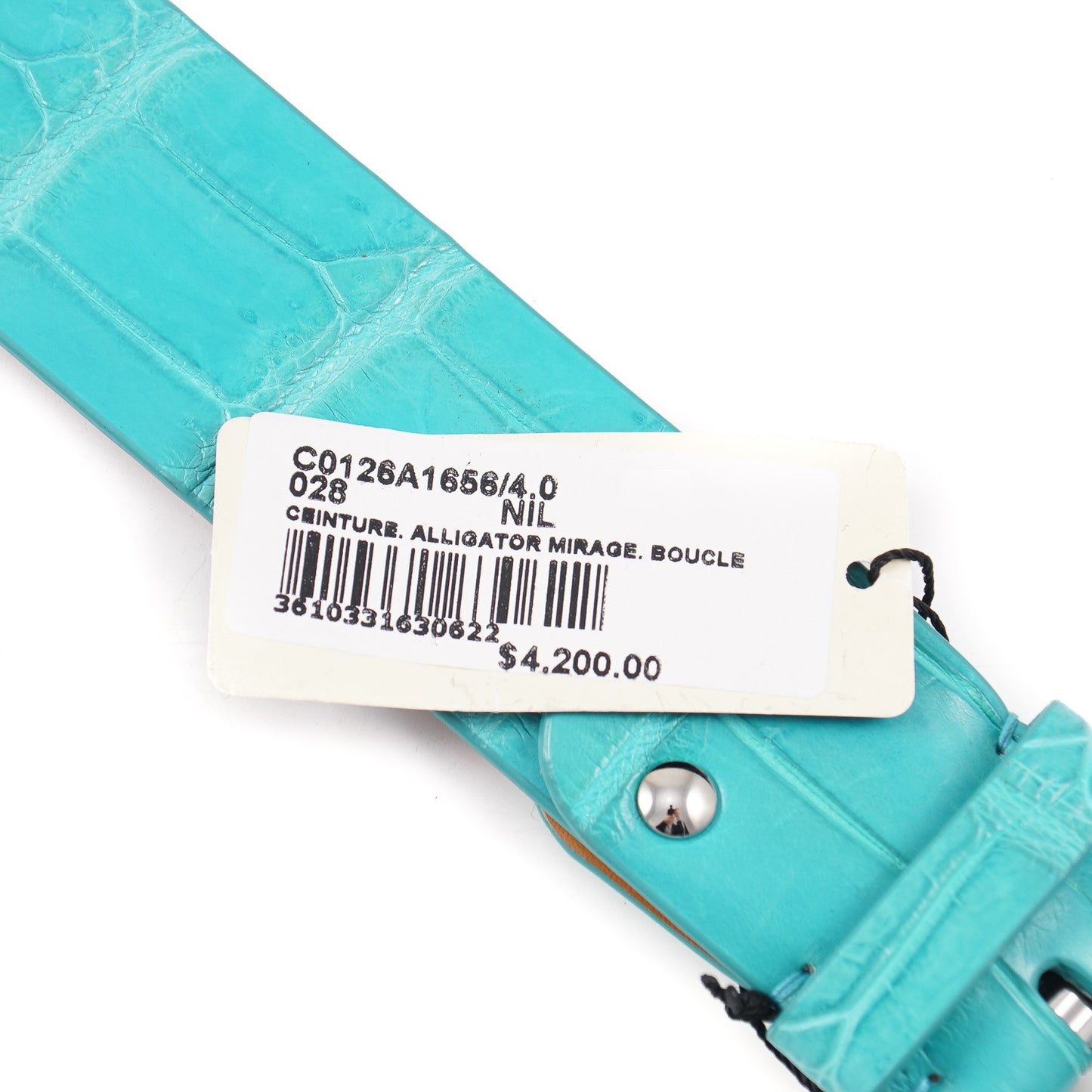 Zilli Belt in Turquoise Crocodile - Top Shelf Apparel