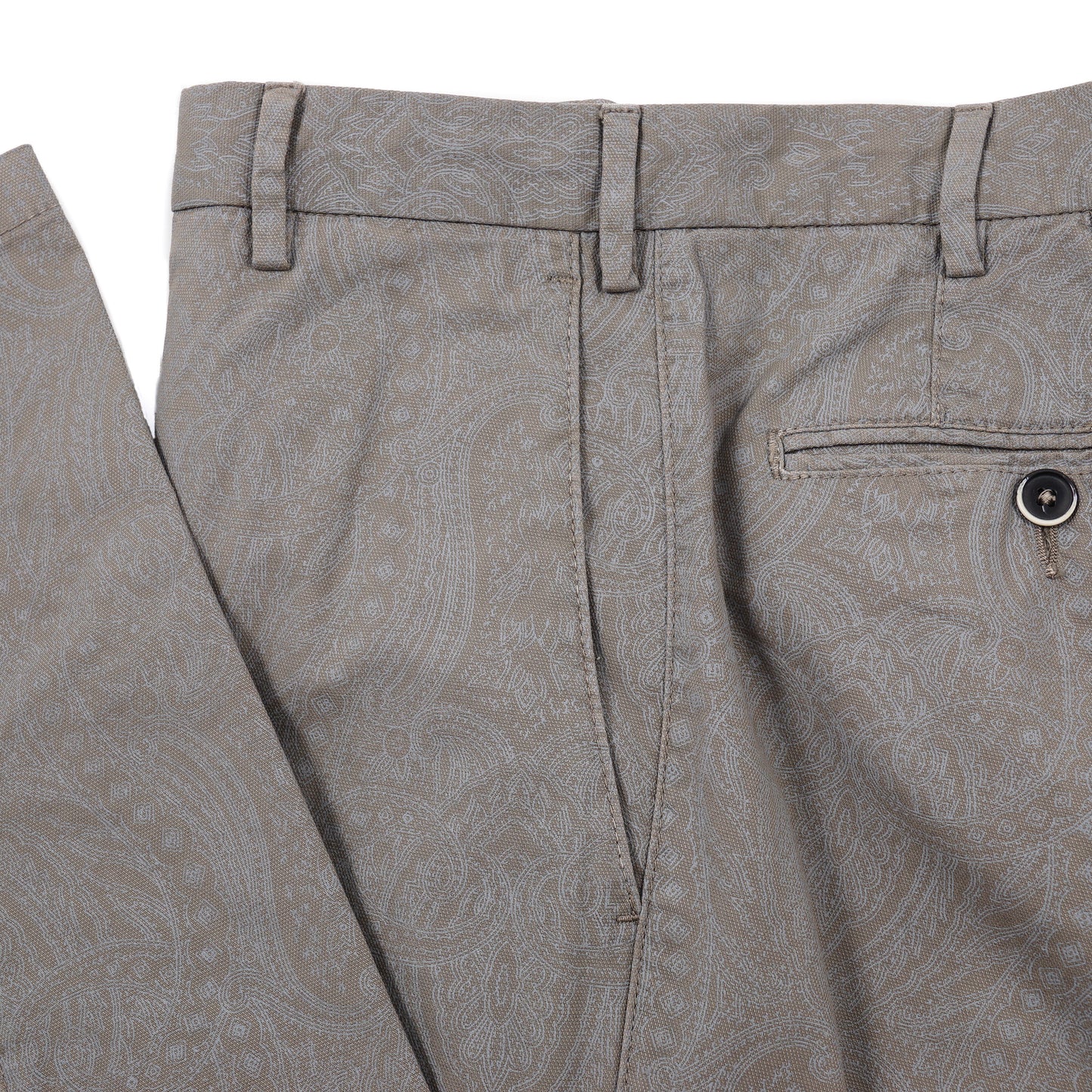 Roda Paisley Print Cotton Pants - Top Shelf Apparel