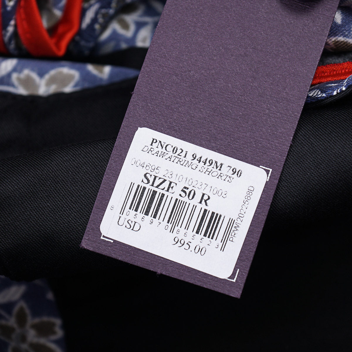 Isaia Printed Silk Drawstring Shorts