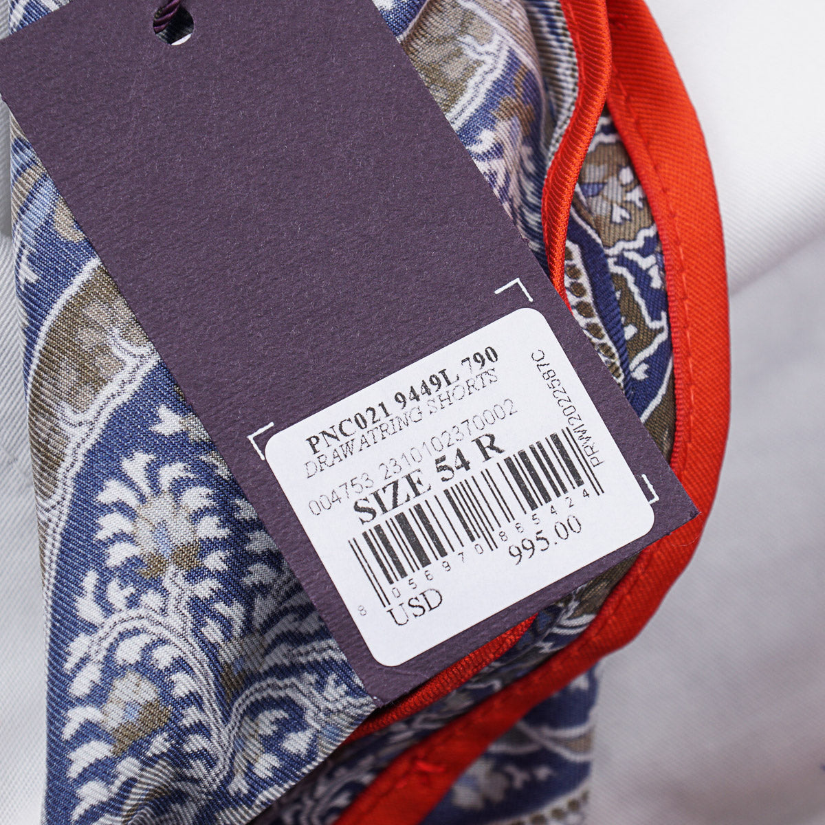Isaia Printed Silk Drawstring Shorts