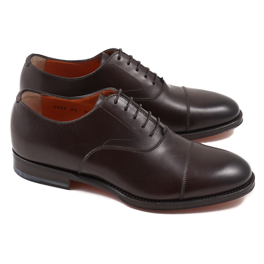 Santoni Cap-Toe Oxford in Brown - Top Shelf Apparel